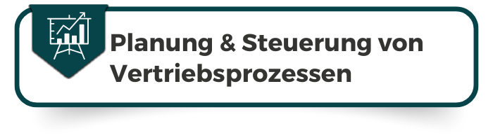 E-Rechnung Software Lösung Vorteil Vertriebs Planung Vertriebs Steuerung Vertriebs Optimierung
